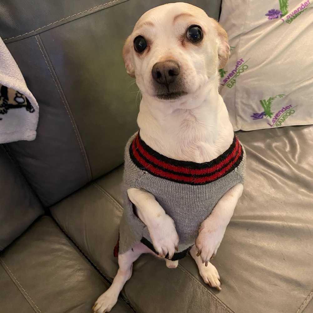 Meet your Posher, Gina